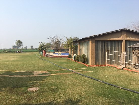 The DNA Camp Damdama Lake tents